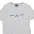 TOMMY HILFIGER Mens T-Shirt Grey L Online Hot Sale